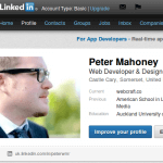 LinkedIn; a kitten free zone. Wordpress SEO Expert