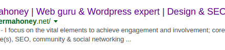 Google descriptions Wordpress SEO Expert